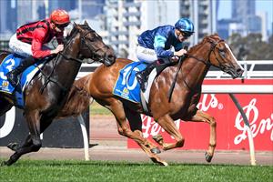  Archo Nacho, Poseidon Stakes Flemington Sept 2023